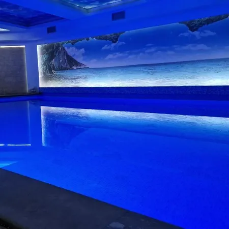 Bliss 科帕奥尼克