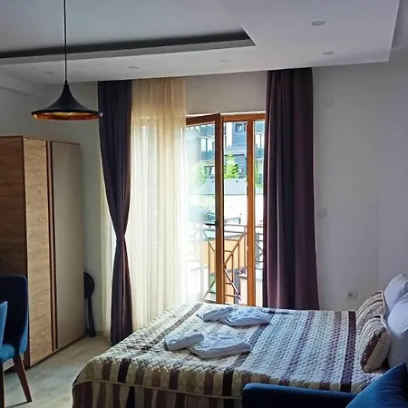 Bliss * 科帕奥尼克